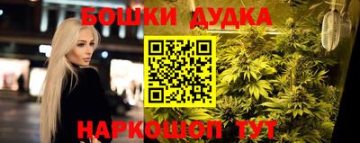 Альфа ПВП Будённовск