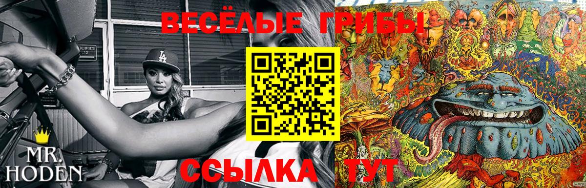 Псилоцибиновые грибы GOLDEN TEACHER Курганинск