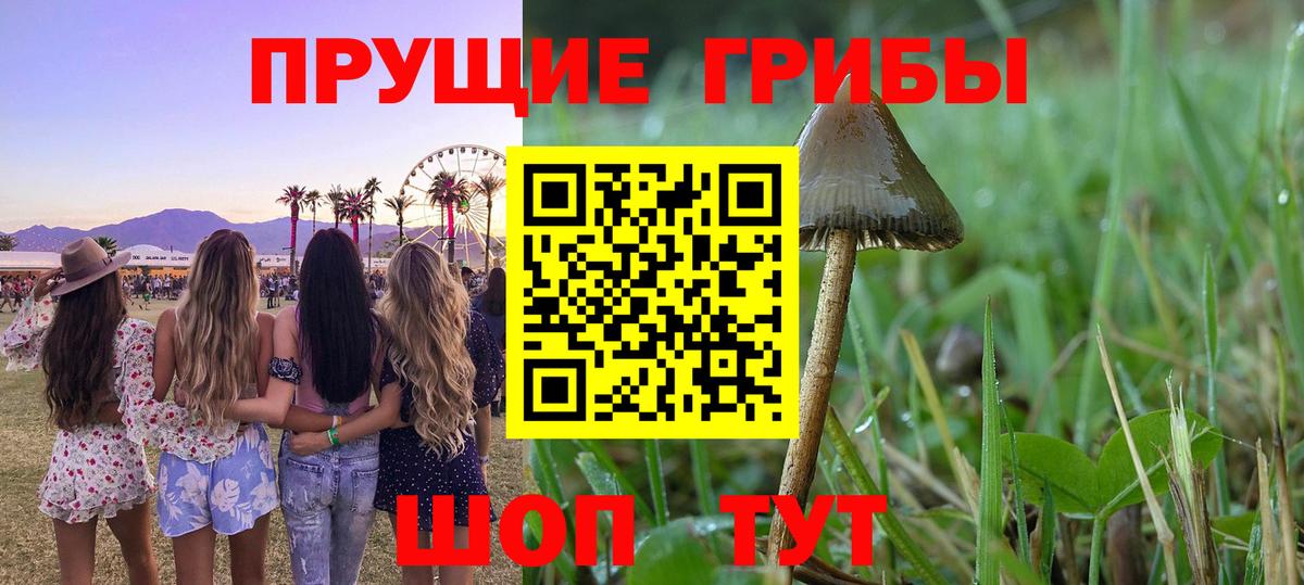 Галлюциногенные грибы Magic Shrooms  Вход с VPN  Курганинск 